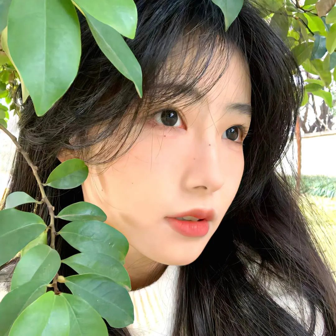 瓦尼娜·瓦尼尼